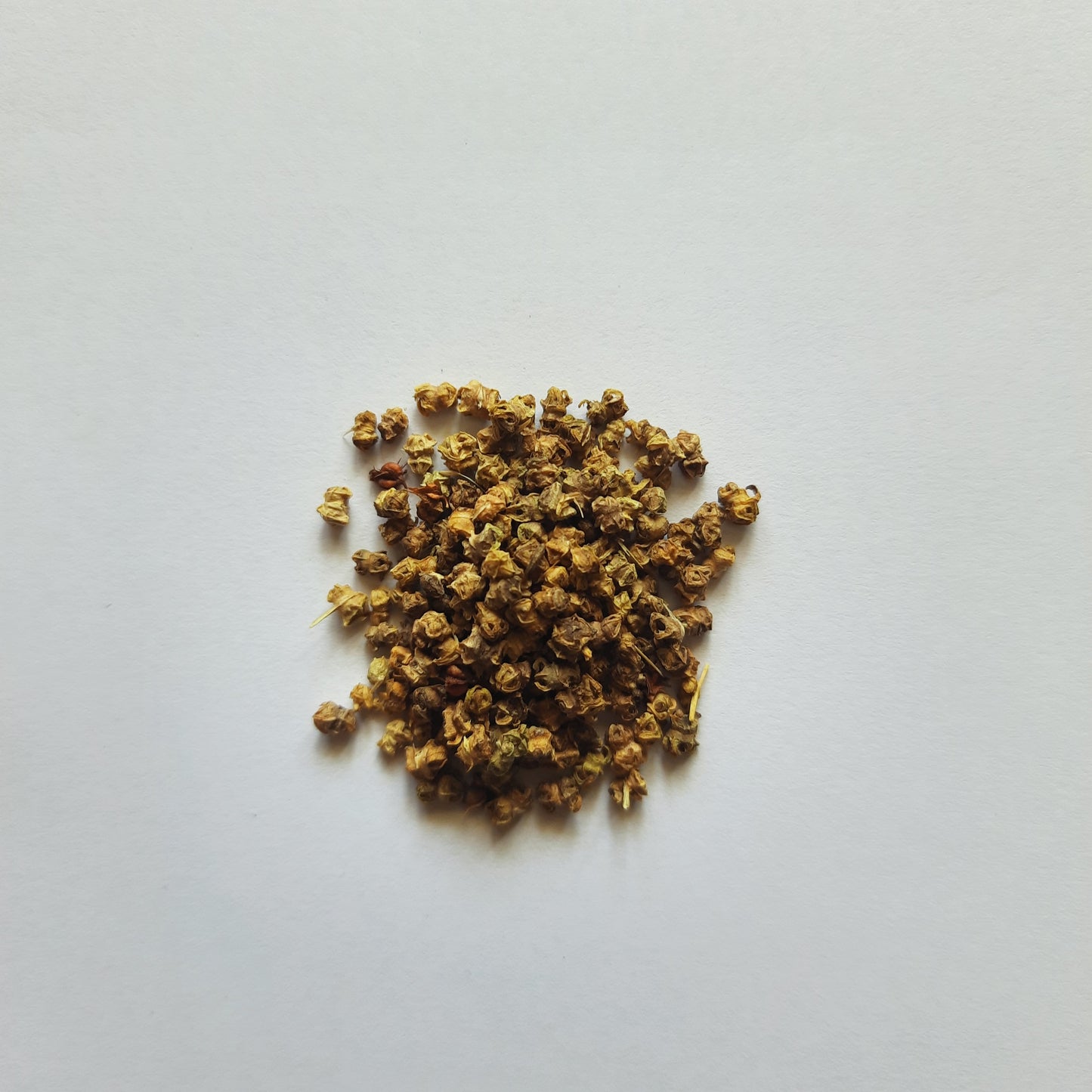 Spinach seeds
