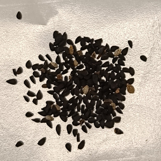 Nigella (Kalonji) Seeds