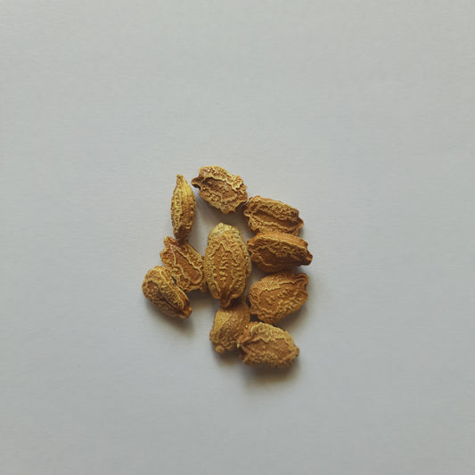 Bitter Gourd (Karela) seeds