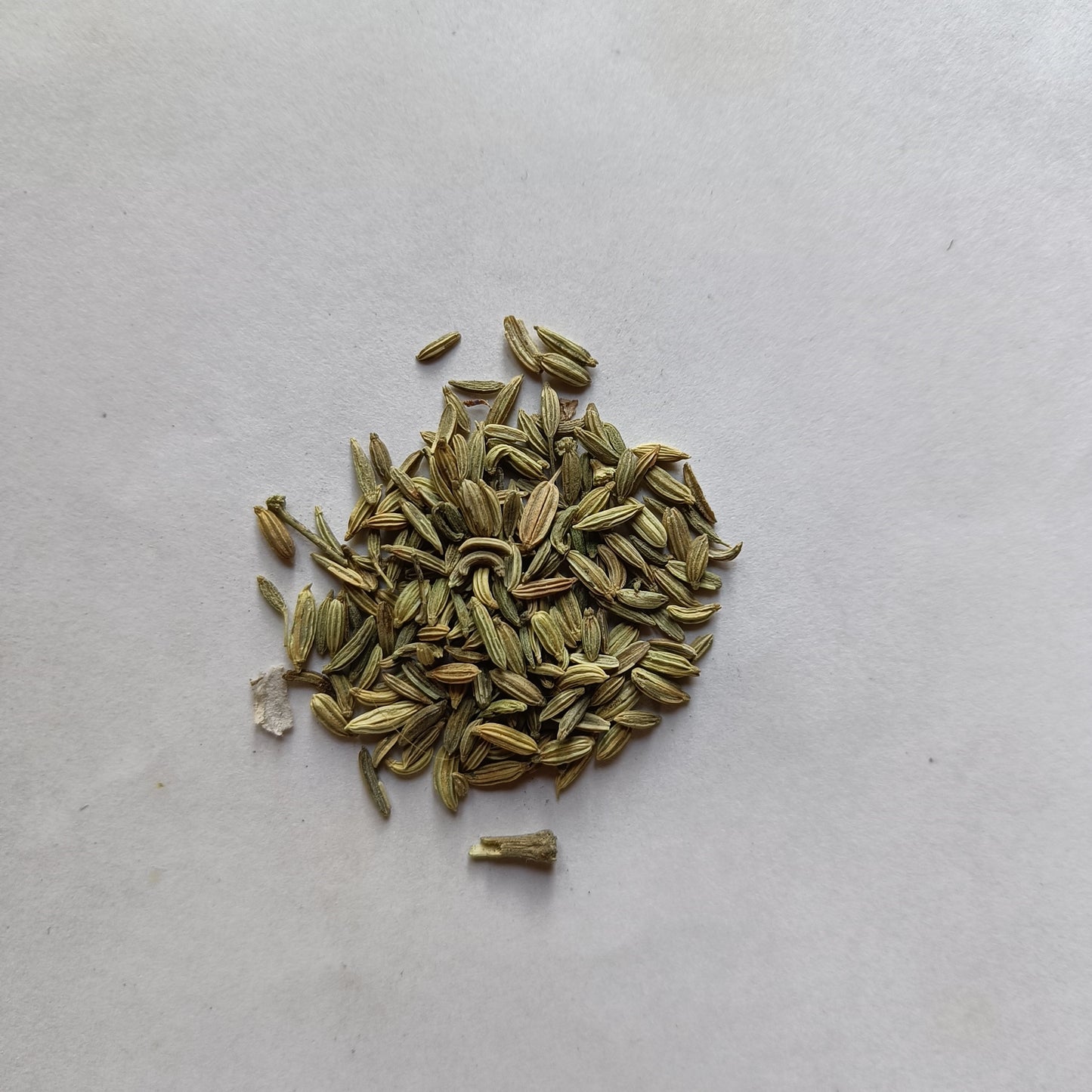 Aniseed | Saunf seeds