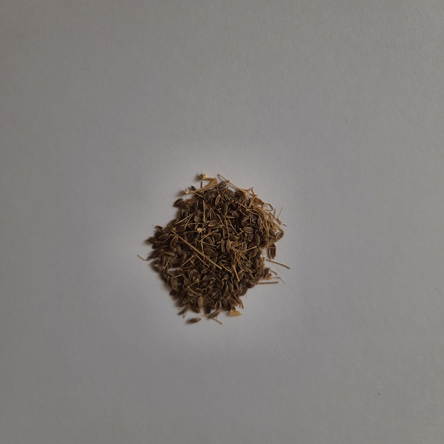 Dill seeds