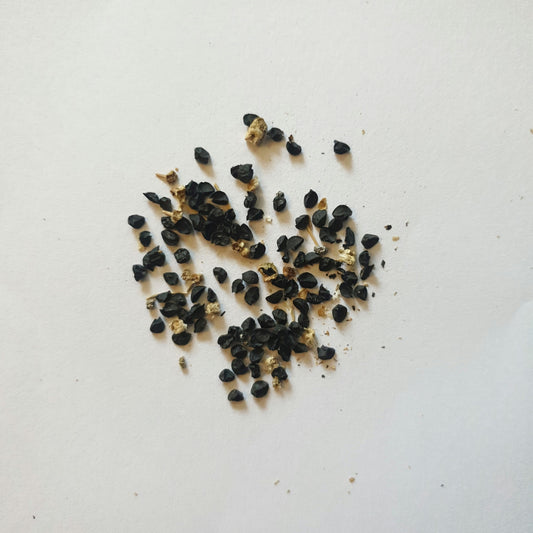 Onion Seeds