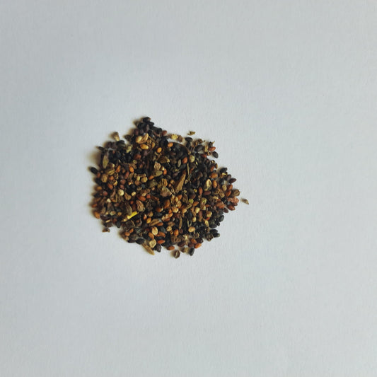 Thai Basil seeds