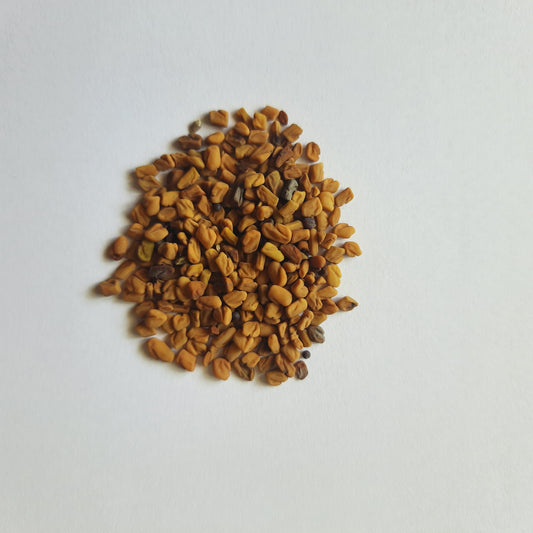 Fenugreek seeds