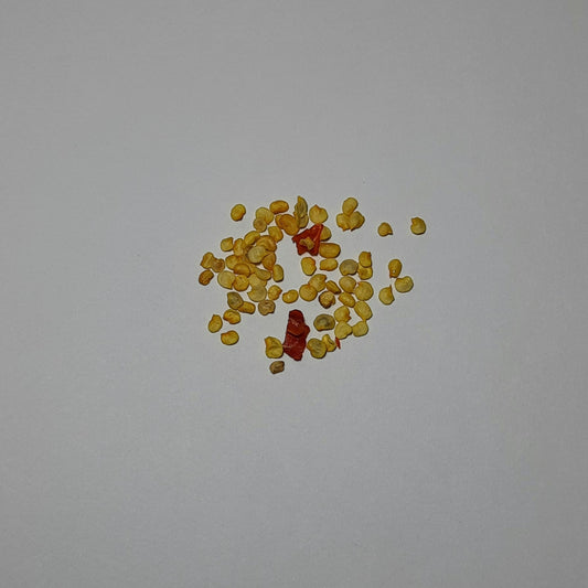 Chilli Seeds
