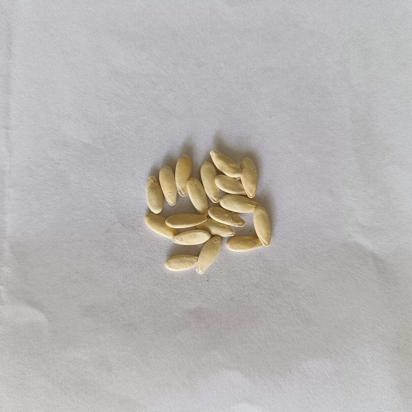 Snap Melon | Phunt Seeds