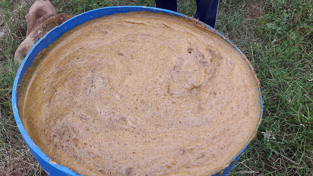 Permaculture and Jaivik Kheti: Jeevamrut & Agnihastra