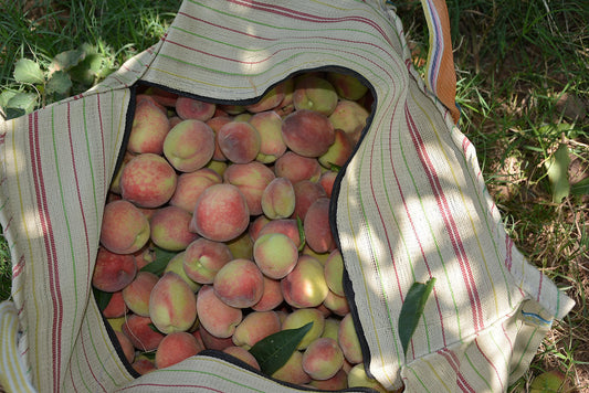 Fruit Trees in Permaculture: Peaches