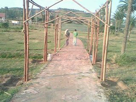 Permaculture Design: Vertical Space