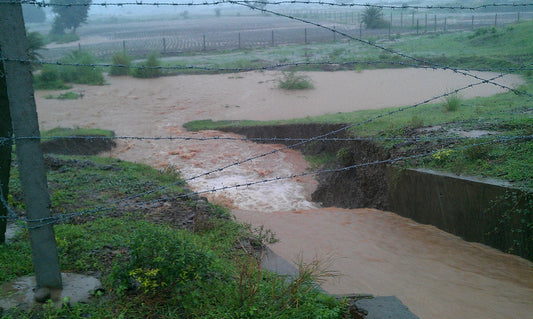 Water Management in Permaculture: Restoring the Weir