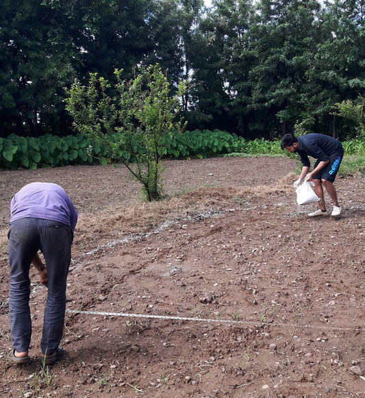 Permaculture Design: Making Raised Beds