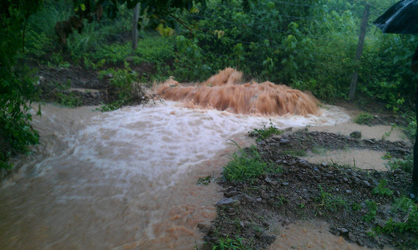 Permaculture Challenges: Flooding