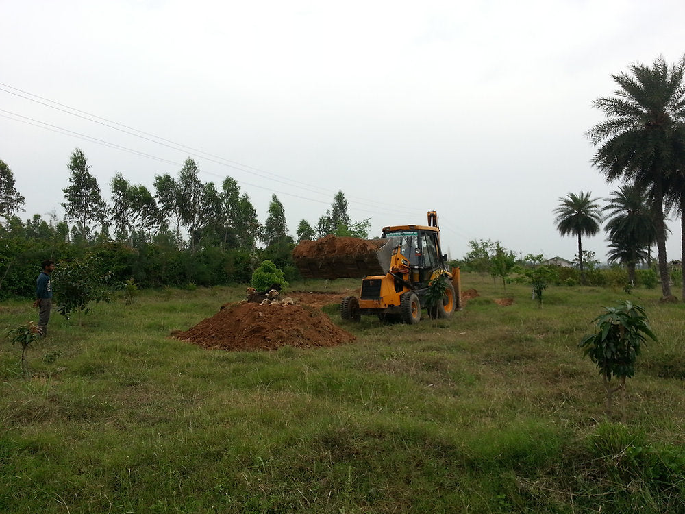 Water Management in Permaculture: Build Shallow Pools