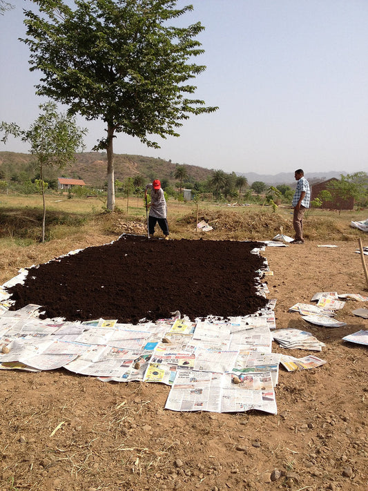 Soil Management in Permaculture: Wood Chip Farming