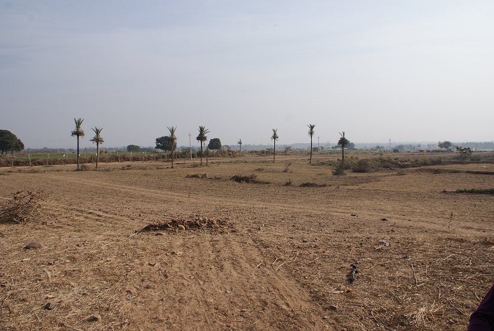 How we started a Permaculture Farm!