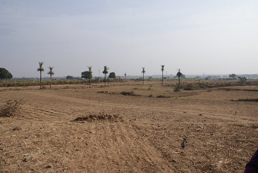 How we started a Permaculture Farm!