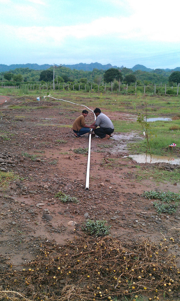 Water Management in Permaculture: Irrigation System