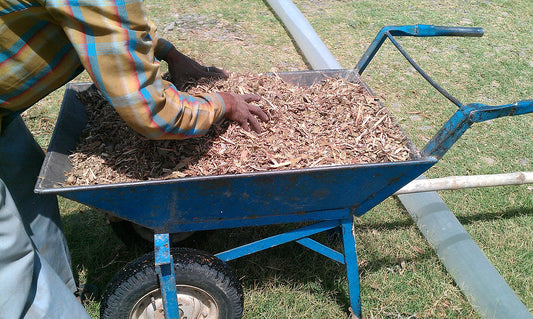 Soil Management in Permaculture: Mulching with Wood Chips