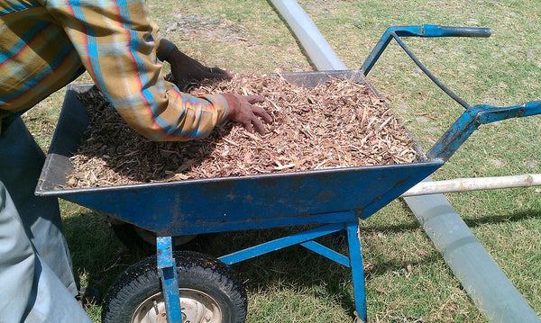 Soil Management in Permaculture: Mulching with Wood Chips
