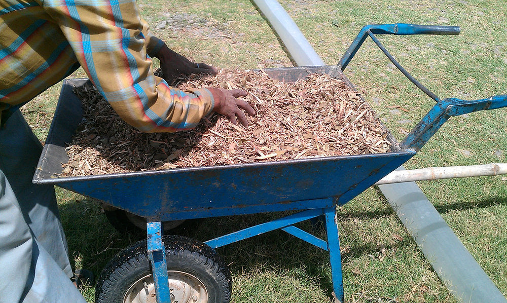 Soil Management in Permaculture: Mulching with Wood Chips