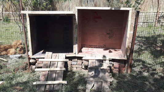 Sustainable Building : Chicken Coop
