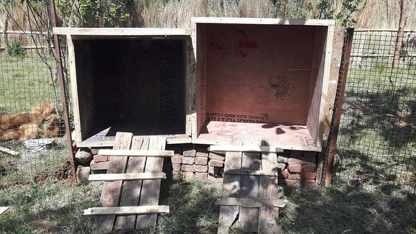 Sustainable Building : Chicken Coop