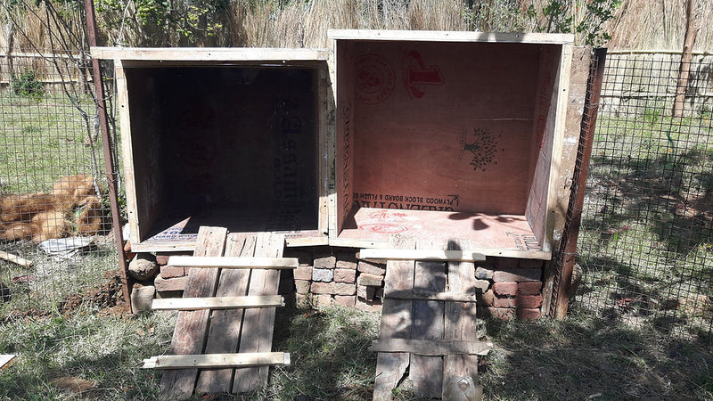 Sustainable Building : Chicken Coop