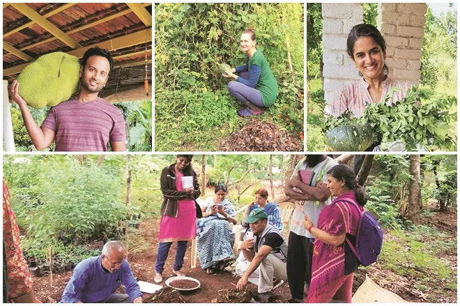 Nurturing nature: Permaculture farming finds an increasing number of takers in the country