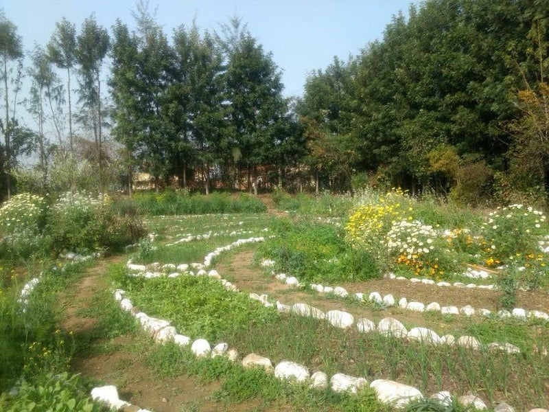 Humans Who Grow Food's post