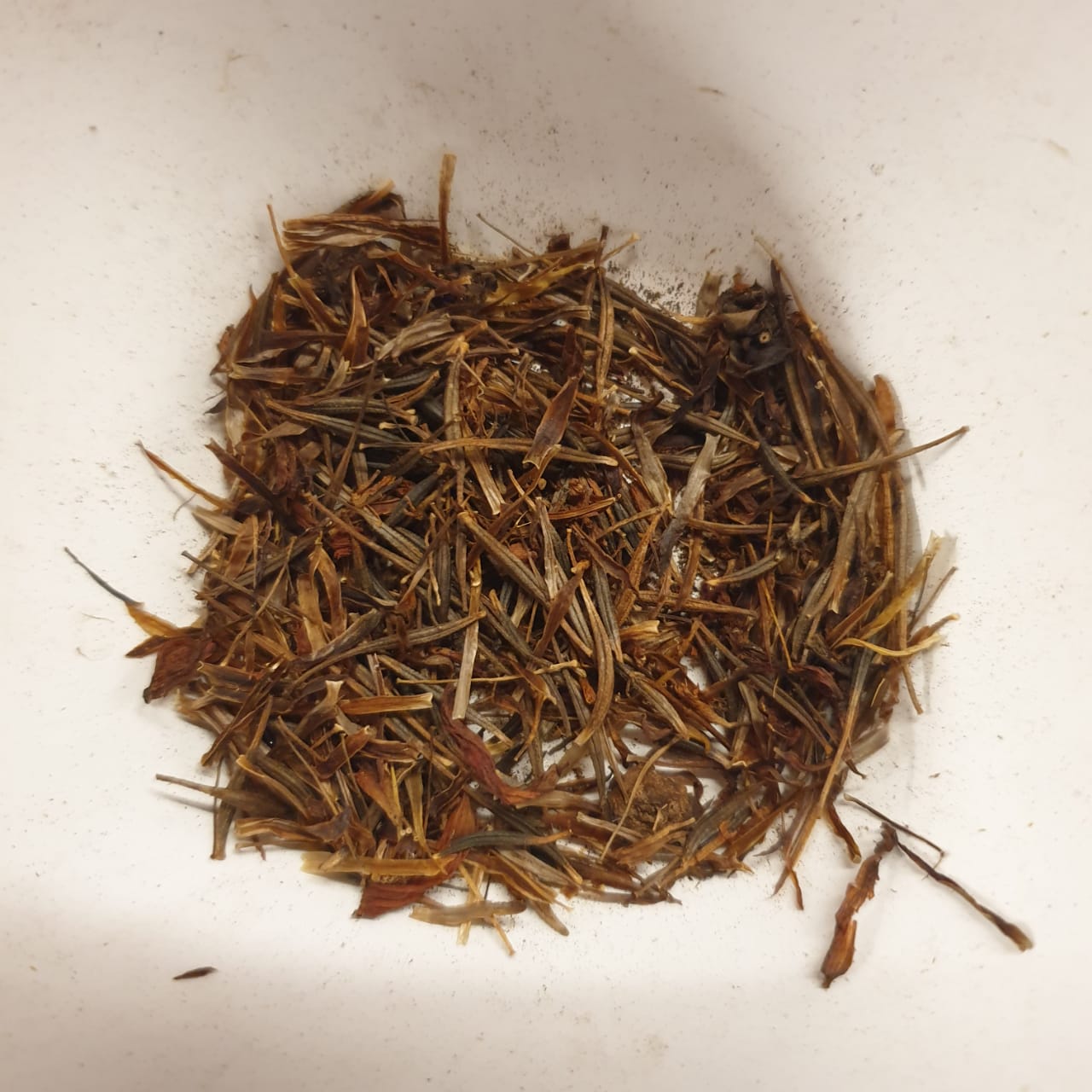 Cosmos Seeds