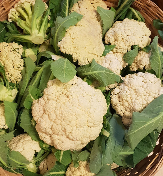 Cauliflower seeds