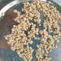 Wood Apple (Bael) seeds