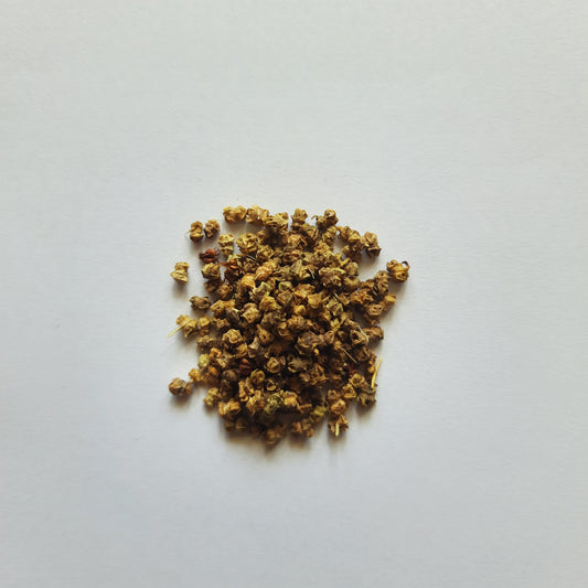 Spinach seeds