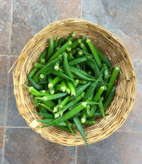 Okra (Bhindi) Seeds