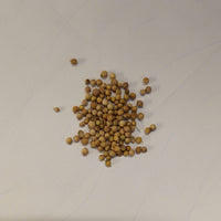 Coriander Seeds