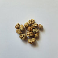 Nasturtium seeds