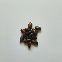 Custard Apple seeds