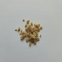 Tomato Seeds