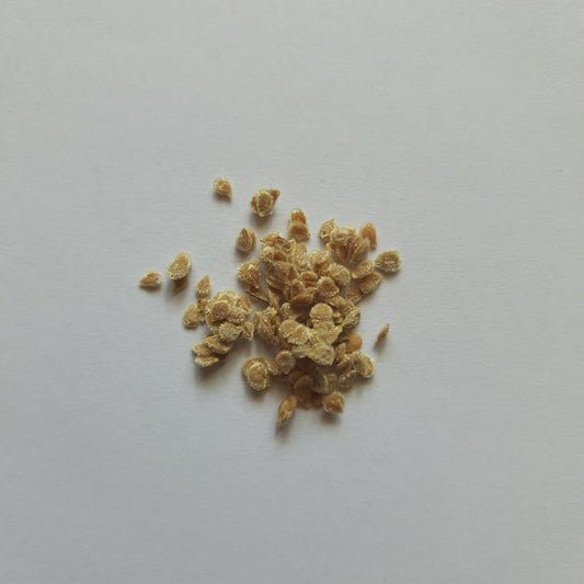 Tomato Seeds