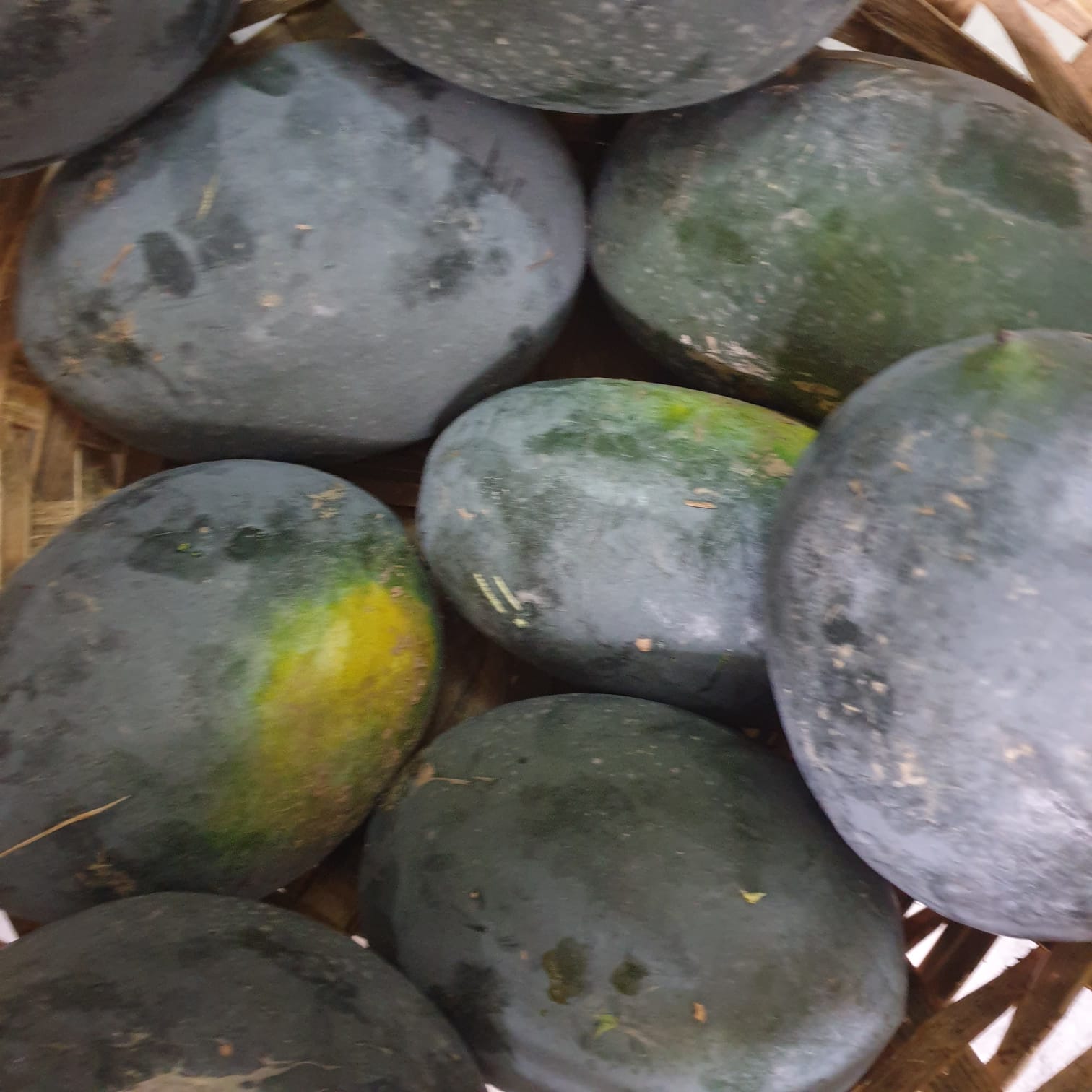 Watermelon Seeds