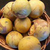 Wood Apple (Bael) seeds