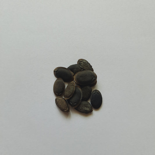 Sponge gourd (Tori) seeds