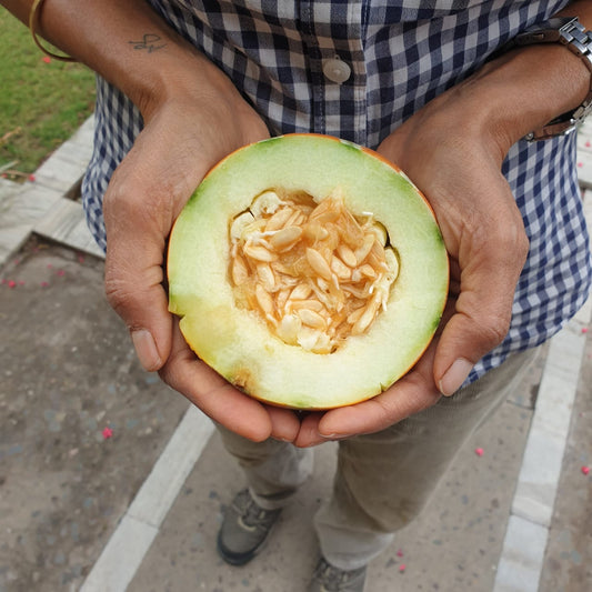 Muskmelon Seeds