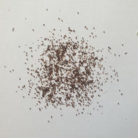 Red Poppy Flower Seeds