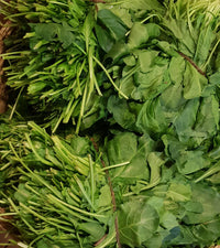 Spinach seeds