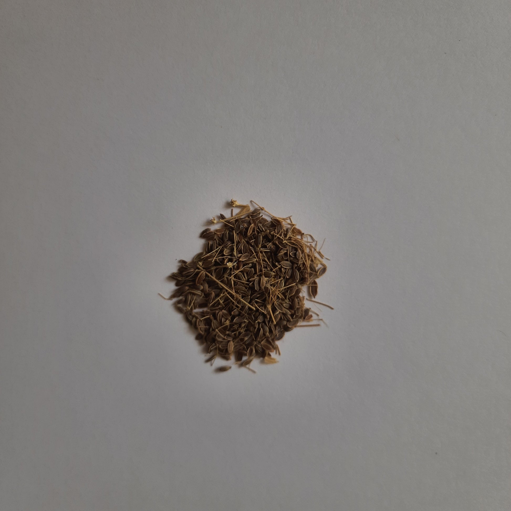 Dill seeds