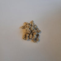 Cotton Seeds