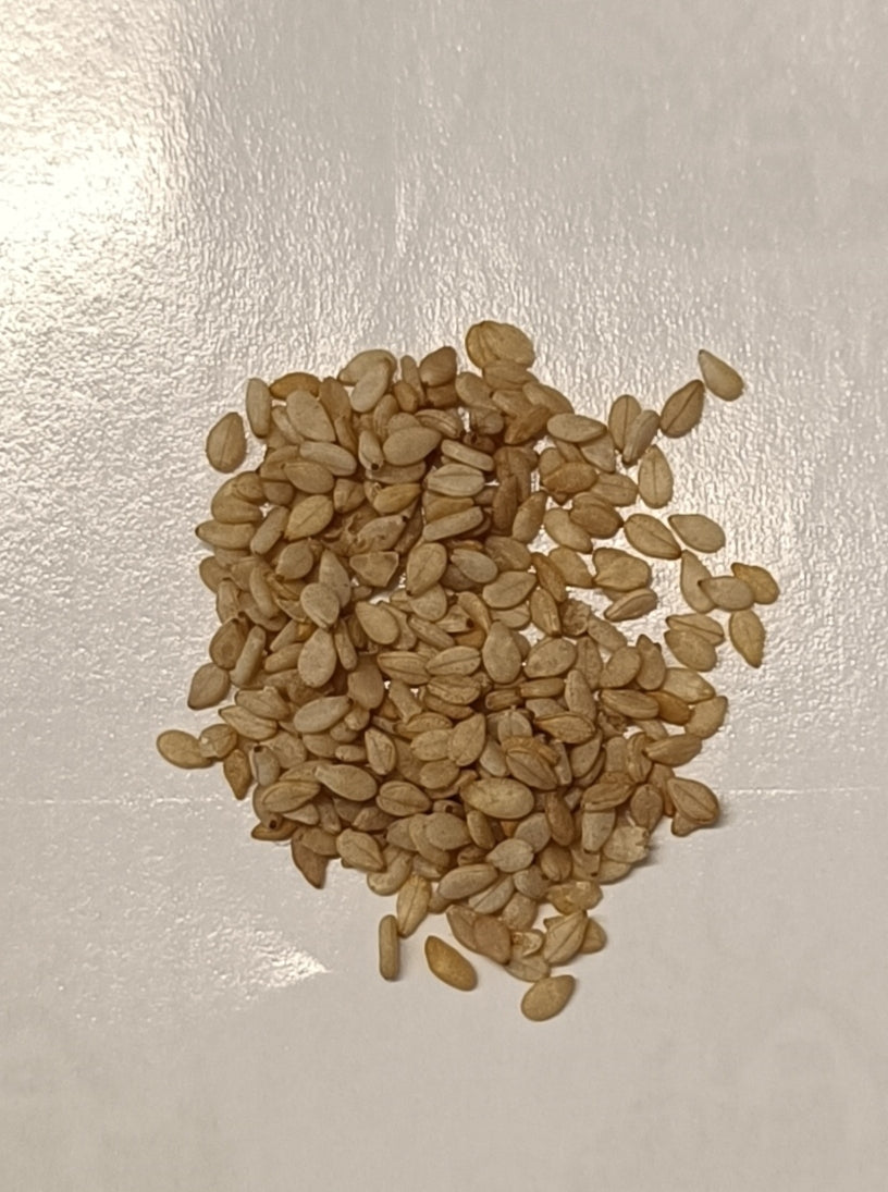 Sesame (Til) Seeds