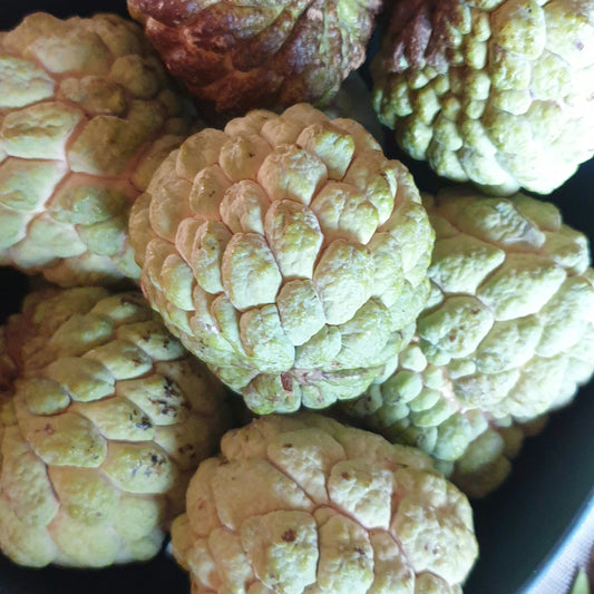 Custard Apple seeds