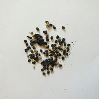 Onion Seeds